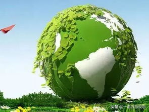 中國農(nóng)業(yè)十大布局方向 以戰(zhàn)略格局推動環(huán)保技術推廣